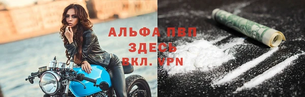 молекула духа Богданович