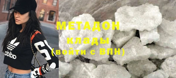 молекула духа Богданович
