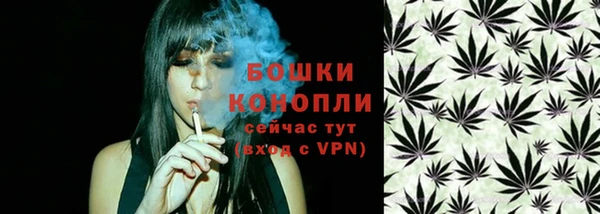 молекула духа Богданович