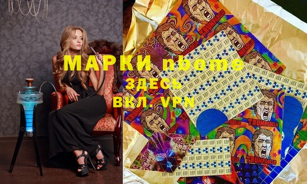 молекула духа Богданович