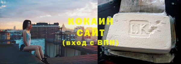 молекула духа Богданович