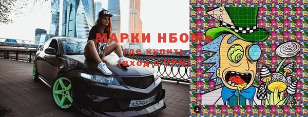 молекула духа Богданович