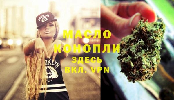 молекула духа Богданович