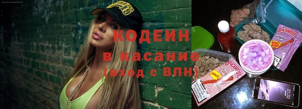 молекула духа Богданович