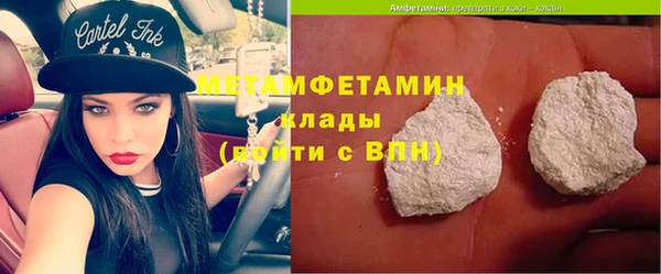 молекула духа Богданович