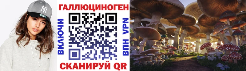 mega ссылка  купить закладку  Назарово  Псилоцибиновые грибы MAGIC MUSHROOMS 